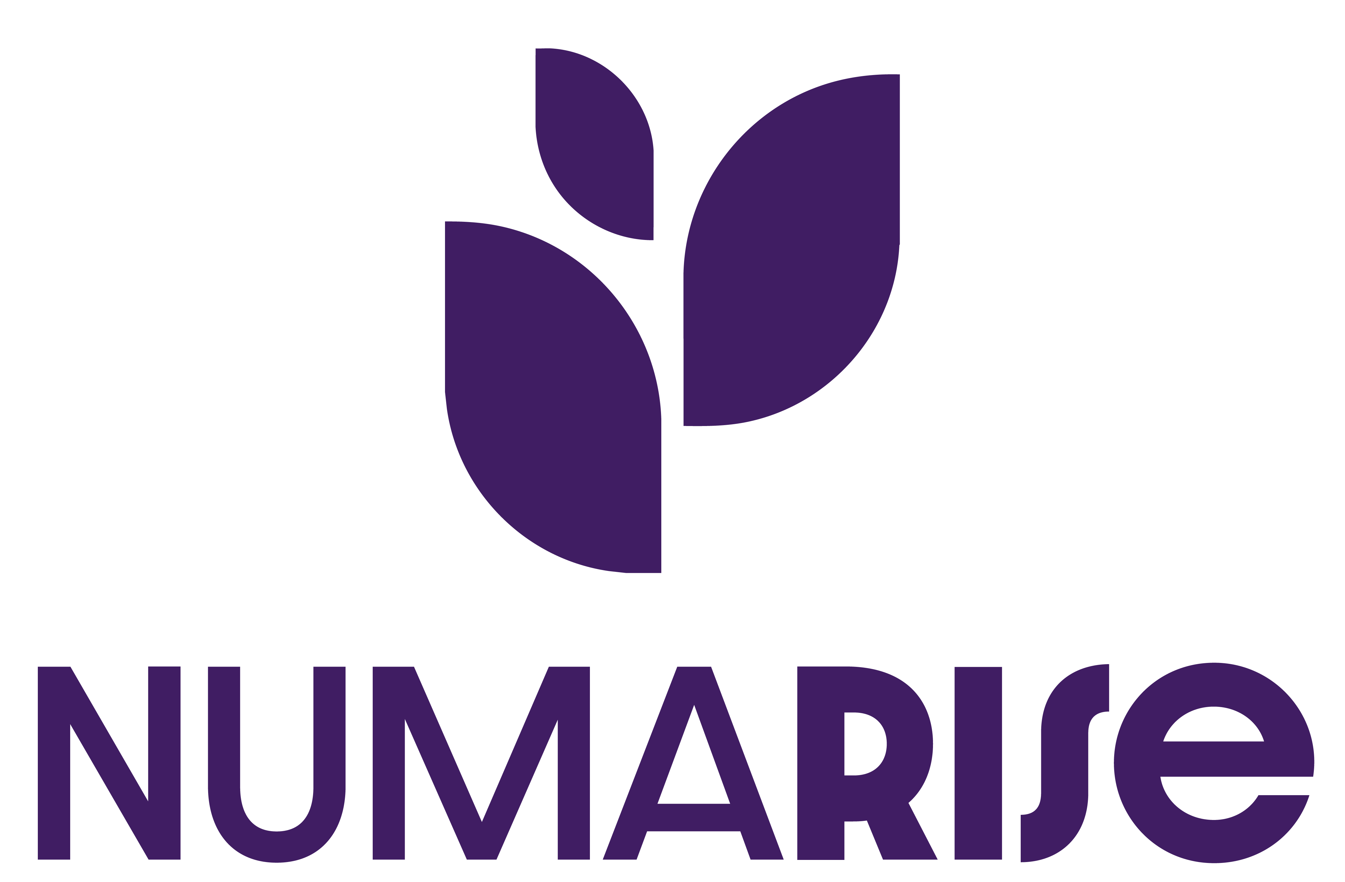 Numarise